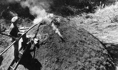  Image name: 27 Carbonai.jpg 
 width: 400 pixel 
 height: 236 pixel 
 Size: 26778 bytes 
 Click to enlarge 